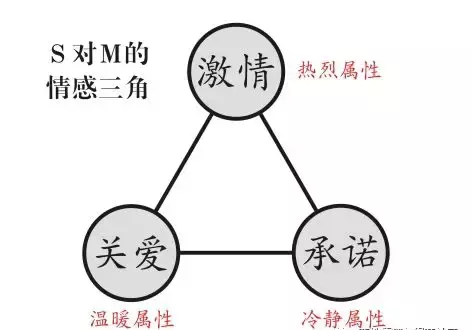 何处安放的5m感情？