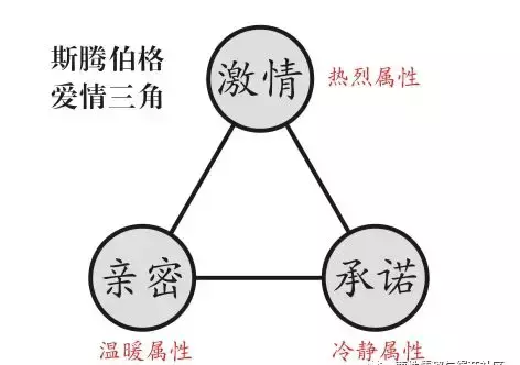 何处安放的5m感情？